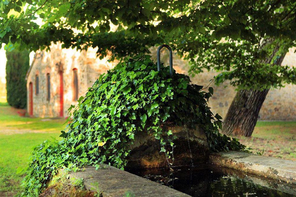 Tenuta Di Corbara Corbara  Exteriér fotografie