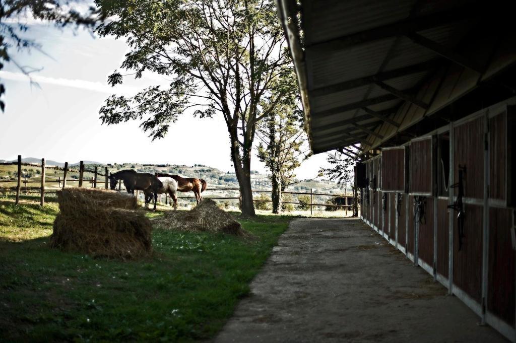 Tenuta Di Corbara Corbara  Exteriér fotografie