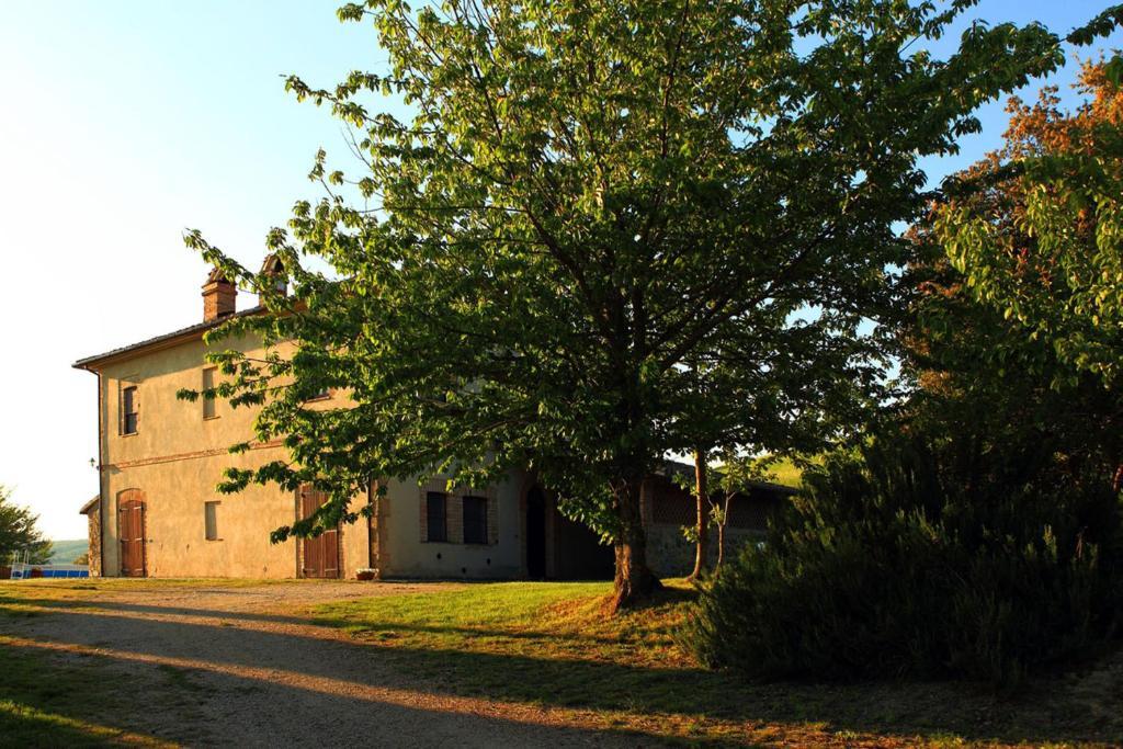 Tenuta Di Corbara Corbara  Pokoj fotografie