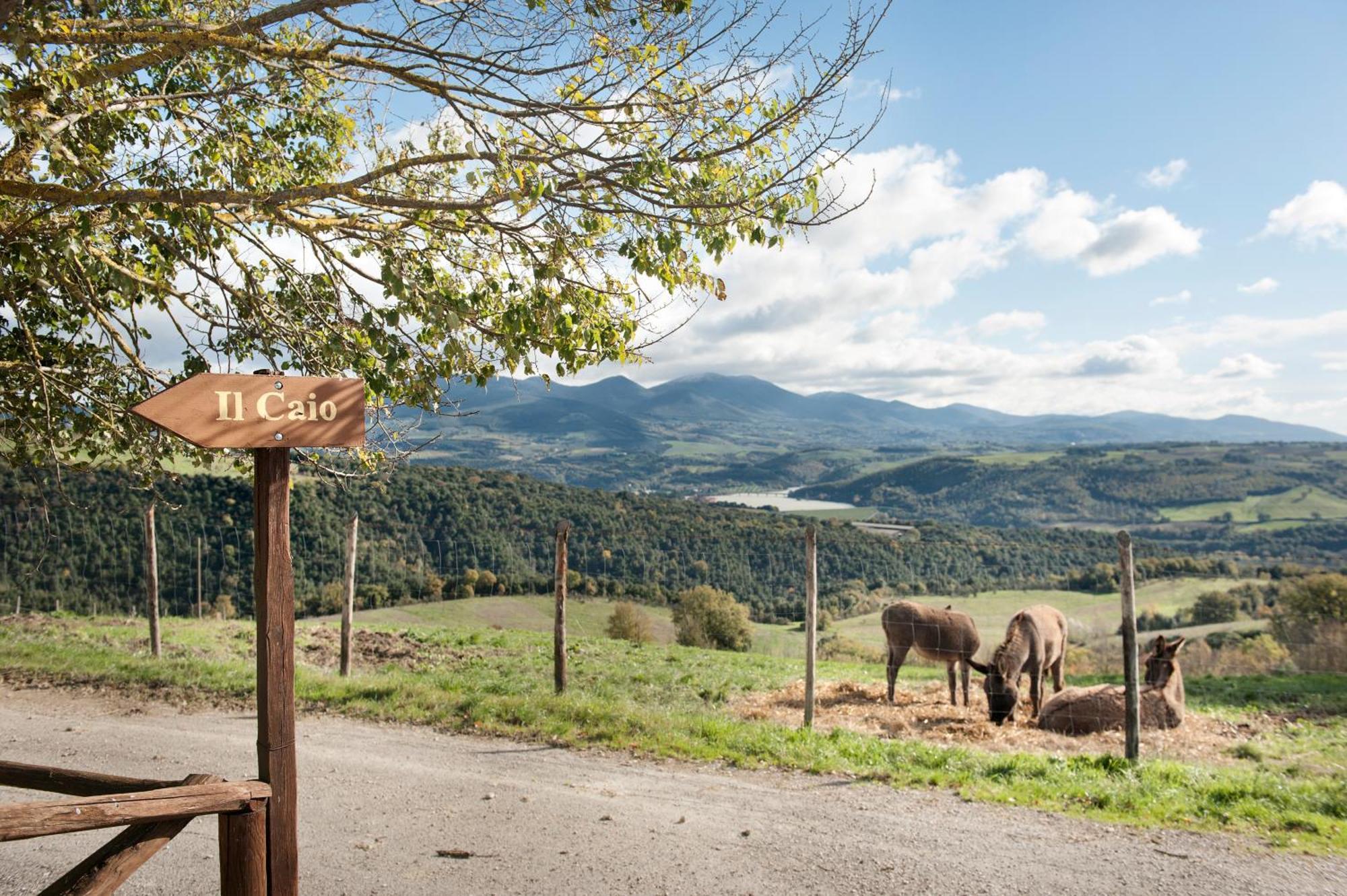 Tenuta Di Corbara Corbara  Exteriér fotografie