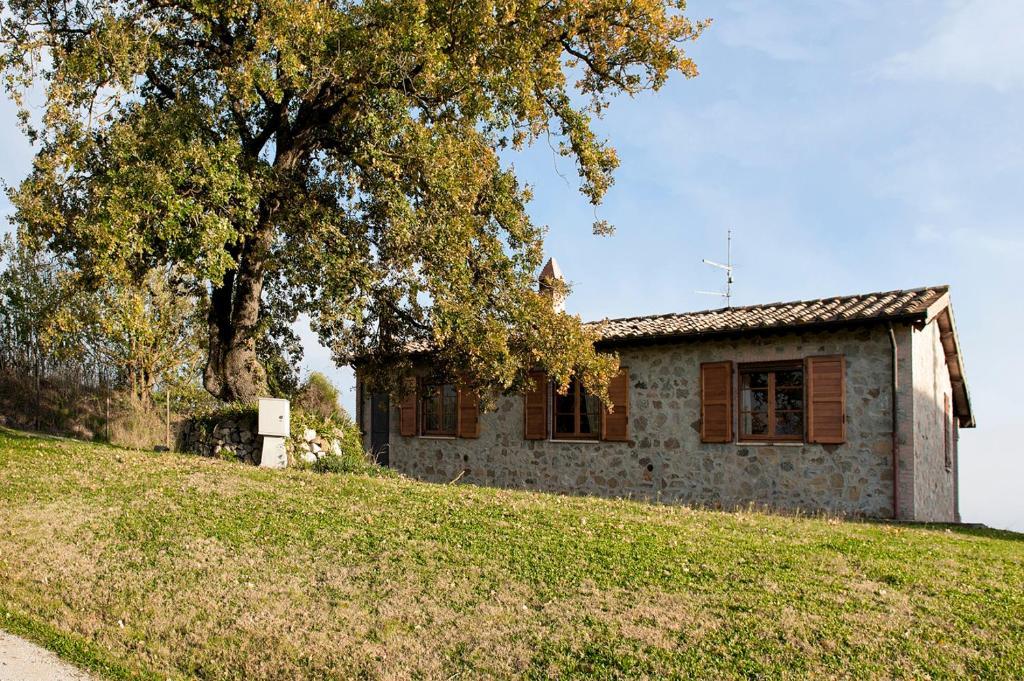Tenuta Di Corbara Corbara  Exteriér fotografie